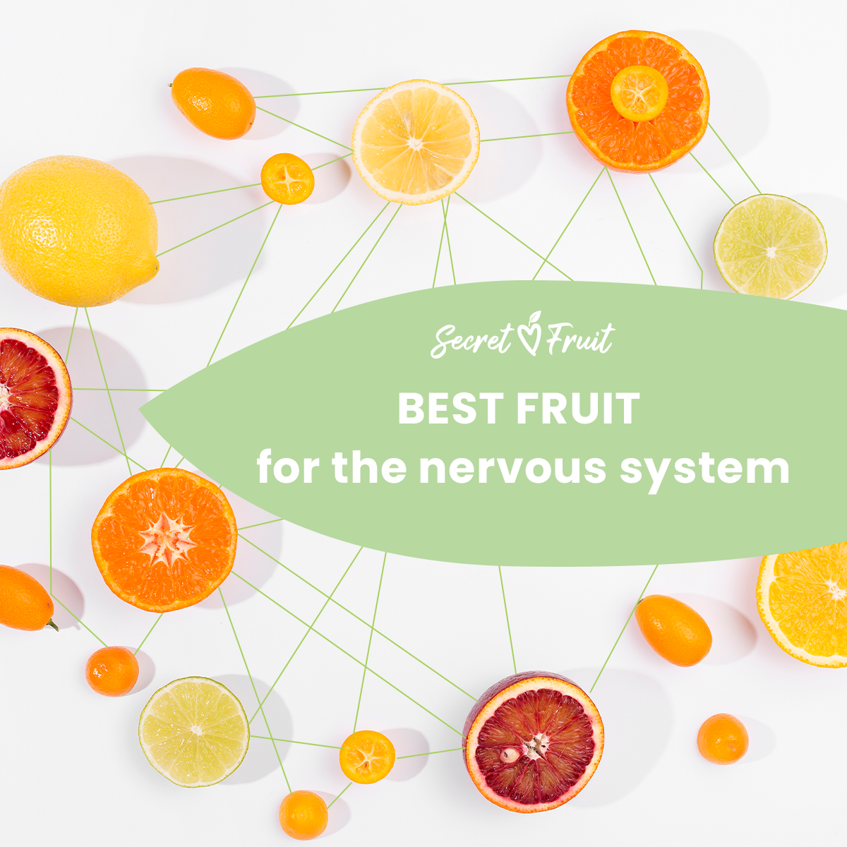 Fruits That Support the Nervous System